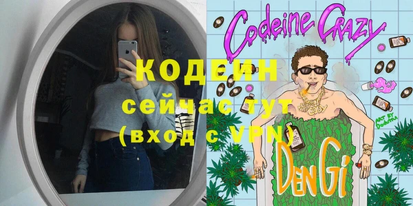 шишки Козловка