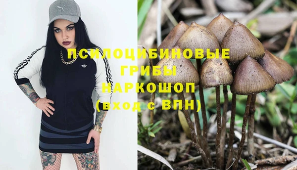 бошки Коряжма