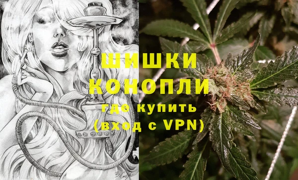 шишки Козловка