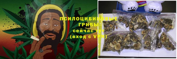 бошки Коряжма