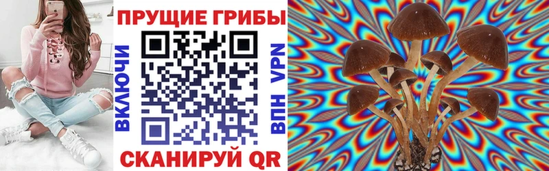 Псилоцибиновые грибы Psilocybine cubensis  кракен ССЫЛКА  Киржач 